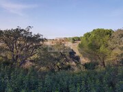Terreno R�stico - Santa Margarida da Serra, Gr�ndola, Set�bal - Miniatura: 8/9