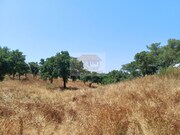 Terreno Urbano - Santa Margarida da Serra, Grndola, Setbal - Miniatura: 8/9