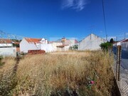 Outros - Torr�o, Alc�cer do Sal, Set�bal - Miniatura: 2/8