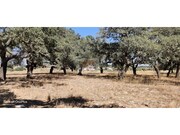 Moradia T3 - Santa Margarida da Serra, Gr�ndola, Set�bal - Miniatura: 1/9