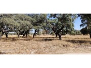 Moradia T3 - Santa Margarida da Serra, Gr�ndola, Set�bal - Miniatura: 7/9
