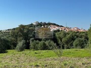 Outros - Santiago do Cac�m, Santiago do Cac�m, Set�bal - Miniatura: 6/9