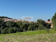 Outros - Santiago do Cac�m, Santiago do Cac�m, Set�bal - Miniatura: 7/9