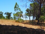 Terreno Urbano - Melides, Gr�ndola, Set�bal - Miniatura: 1/9