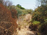 Terreno Urbano - Melides, Gr�ndola, Set�bal - Miniatura: 7/9