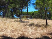 Terreno Urbano - Melides, Gr�ndola, Set�bal - Miniatura: 8/9