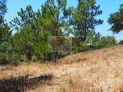 Terreno Urbano - Melides, Gr�ndola, Set�bal - Miniatura: 9/9