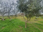 Quinta T2 - Santa Margarida da Serra, Gr�ndola, Set�bal - Miniatura: 6/9