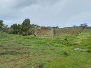 Terreno R�stico - S�o Domingos, Santiago do Cac�m, Set�bal - Miniatura: 2/9