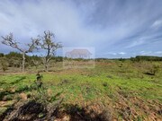 Terreno R�stico - S�o Domingos, Santiago do Cac�m, Set�bal - Miniatura: 6/9