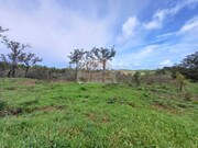 Terreno R�stico - S�o Domingos, Santiago do Cac�m, Set�bal - Miniatura: 7/9