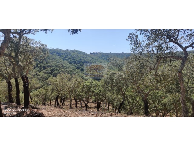 Terreno R�stico - Santa Margarida da Serra, Gr�ndola, Set�bal - Imagem grande