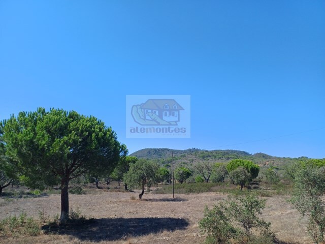Terreno Urbano - Santa Margarida da Serra, Gr�ndola, Set�bal - Imagem grande
