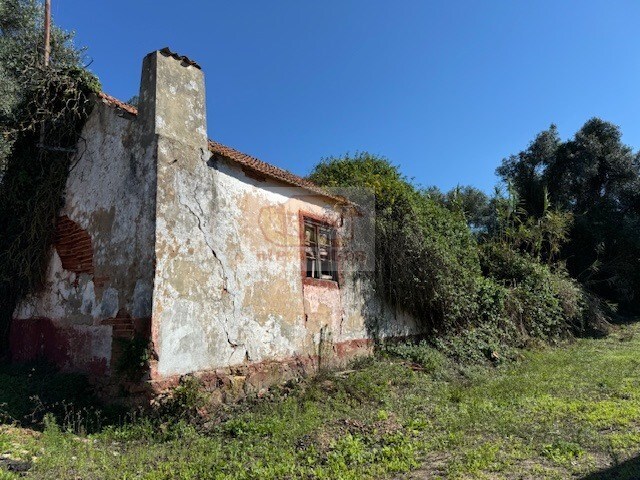 Quinta T2 - Santiago do Cacém, Santiago do Cacém, Setúbal - Imagem grande