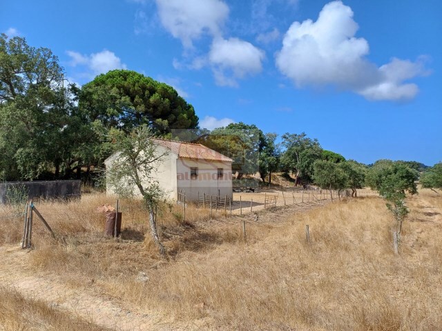 Terreno R�stico - Melides, Gr�ndola, Set�bal - Imagem grande