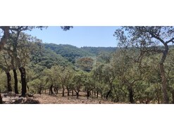 Terreno R�stico - Santa Margarida da Serra, Gr�ndola, Set�bal