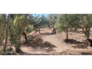 Terreno R�stico - Santa Margarida da Serra, Gr�ndola, Set�bal - Miniatura: 1/8