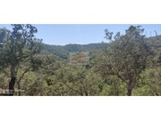Terreno R�stico - Santa Margarida da Serra, Gr�ndola, Set�bal - Miniatura: 2/8