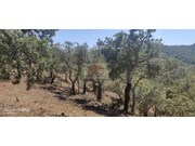 Terreno R�stico - Santa Margarida da Serra, Gr�ndola, Set�bal - Miniatura: 3/8