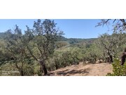 Terreno R�stico - Santa Margarida da Serra, Gr�ndola, Set�bal - Miniatura: 6/8