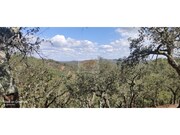 Terreno R�stico - Santa Margarida da Serra, Gr�ndola, Set�bal - Miniatura: 7/8