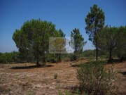 Terreno R�stico - Melides, Gr�ndola, Set�bal - Miniatura: 1/7