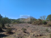 Terreno Urbano - Santa Margarida da Serra, Gr�ndola, Set�bal - Miniatura: 1/9