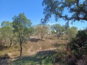 Terreno Urbano - Santa Margarida da Serra, Gr�ndola, Set�bal - Miniatura: 2/9
