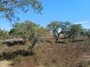 Terreno Urbano - Santa Margarida da Serra, Gr�ndola, Set�bal - Miniatura: 4/9