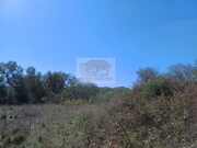 Terreno Urbano - Santa Margarida da Serra, Gr�ndola, Set�bal - Miniatura: 8/9