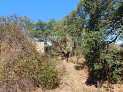 Terreno Urbano - Santa Margarida da Serra, Gr�ndola, Set�bal - Miniatura: 9/9