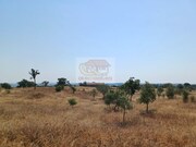 Terreno Urbano - Santa Margarida da Serra, Grndola, Setbal - Miniatura: 2/9
