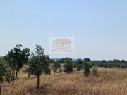 Terreno Urbano - Santa Margarida da Serra, Grndola, Setbal - Miniatura: 9/9