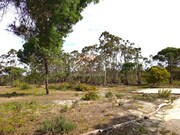 Moradia T1 - Melides, Gr�ndola, Set�bal - Miniatura: 4/7