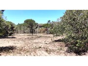Moradia T1 - Melides, Gr�ndola, Set�bal - Miniatura: 7/7