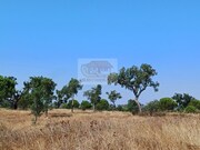 Terreno Urbano - Santa Margarida da Serra, Gr�ndola, Set�bal - Miniatura: 4/9
