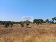 Terreno Urbano - Santa Margarida da Serra, Gr�ndola, Set�bal - Miniatura: 6/9