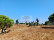 Terreno Urbano - Santa Margarida da Serra, Gr�ndola, Set�bal - Miniatura: 7/9