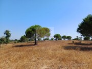 Terreno Urbano - Santa Margarida da Serra, Gr�ndola, Set�bal - Miniatura: 8/9