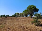 Terreno Urbano - Santa Margarida da Serra, Gr�ndola, Set�bal - Miniatura: 9/9