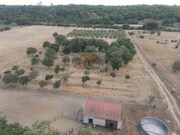 Terreno R�stico - Melides, Gr�ndola, Set�bal - Miniatura: 1/9