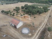 Terreno R�stico - Melides, Gr�ndola, Set�bal - Miniatura: 2/9