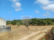 Terreno R�stico - Melides, Gr�ndola, Set�bal - Miniatura: 6/9