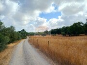 Terreno R�stico - Melides, Gr�ndola, Set�bal - Miniatura: 7/9