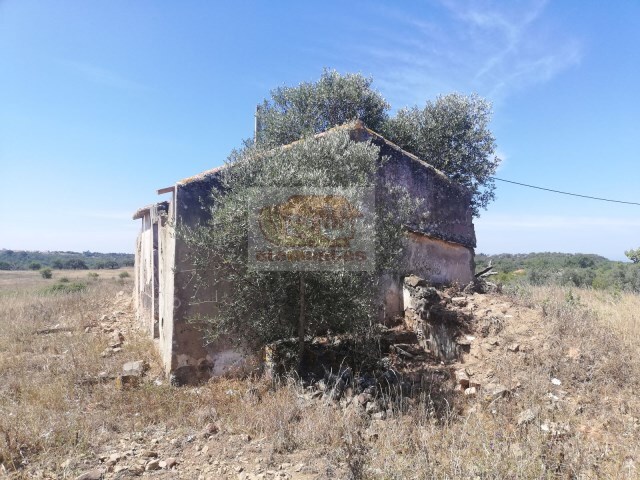 Quinta - S�o Francisco da Serra, Santiago do Cac�m, Set�bal - Imagem grande