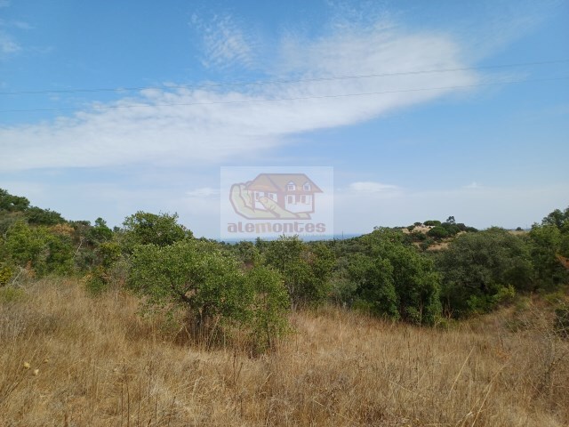 Terreno R�stico - Santa Margarida da Serra, Gr�ndola, Set�bal - Imagem grande
