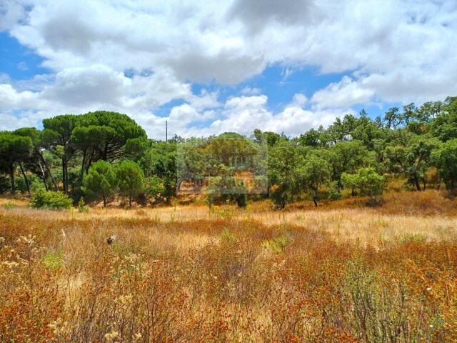 Terreno Rstico - Santa Margarida da Serra, Grndola, Setbal - Imagem grande