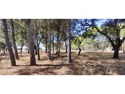 Terreno R�stico - Santa Margarida da Serra, Gr�ndola, Set�bal