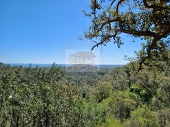 Terreno Rstico - Santa Margarida da Serra, Grndola, Setbal