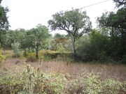 Terreno R�stico - Santa Margarida da Serra, Gr�ndola, Set�bal - Miniatura: 1/9